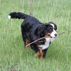 Продам - Квартиры - Салтовка, Сев.Салтовка